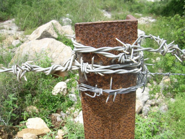 barbed-18421_1280